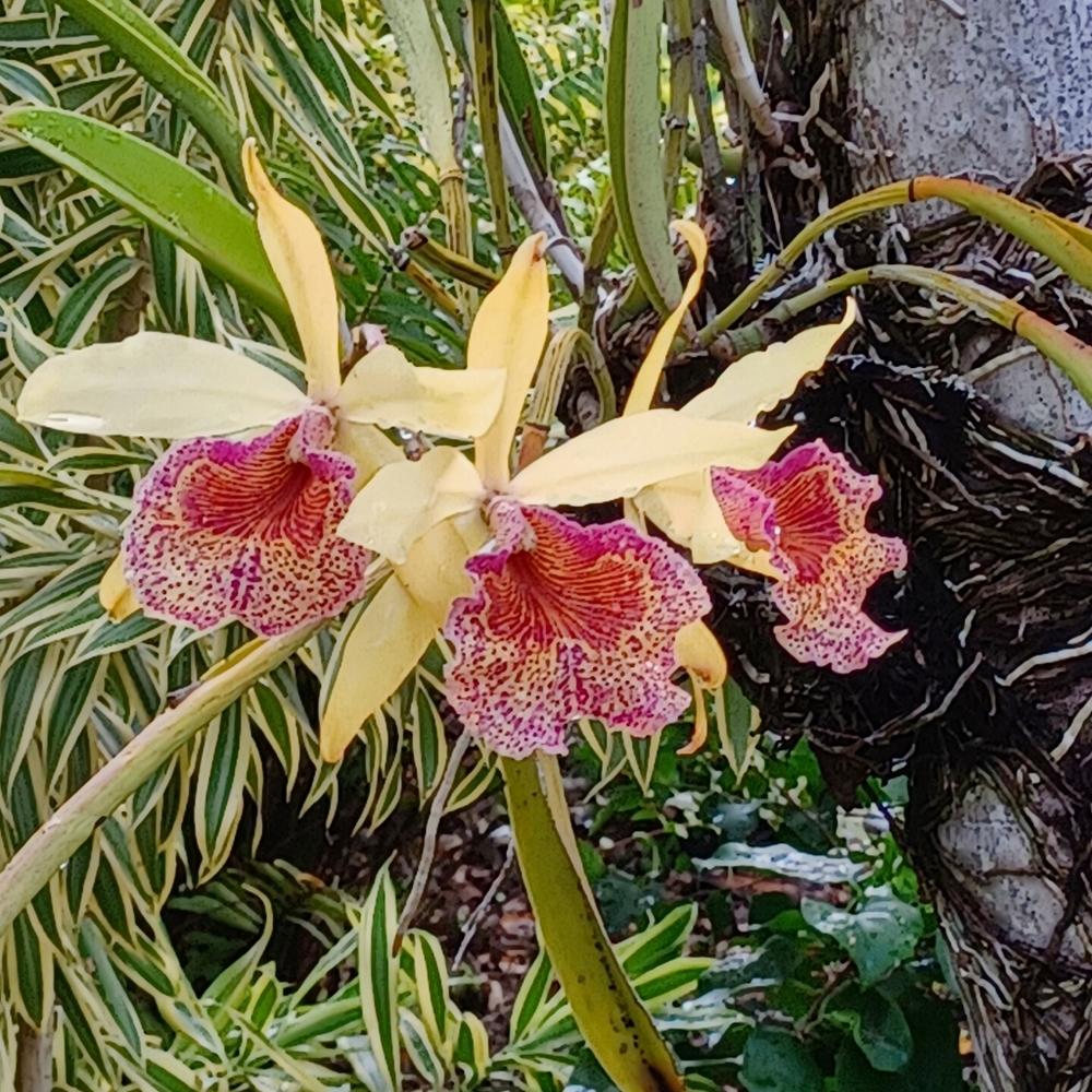 Welcome to my closet